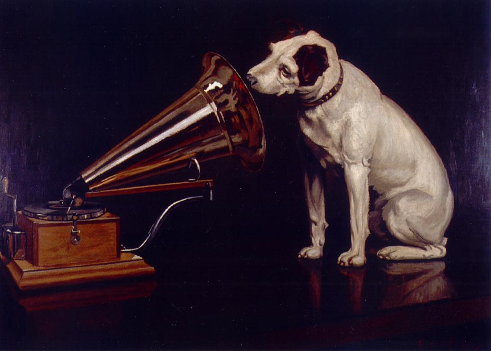 dog-listening