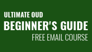 Ultimate Oud Beginner's Guide